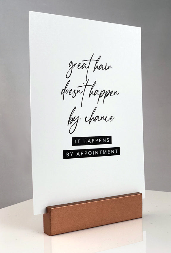 Sign stand with print inserted. Great Hair Doesn't Happen By Chance. It happens by appointment.